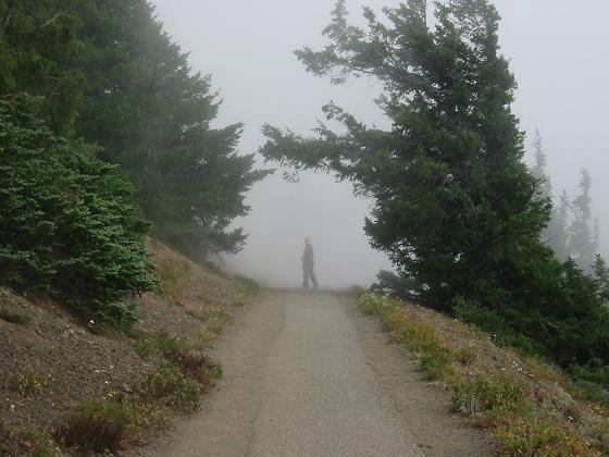 losingjenintheclouds.jpg