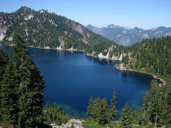 snowlake.jpg